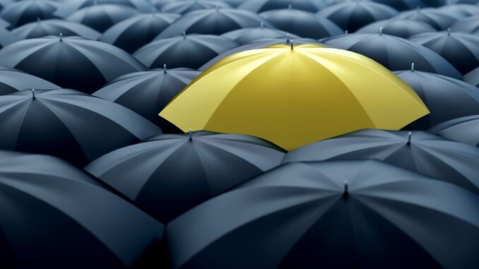 Tout savoir sur le parapluie blindé et pare-balles